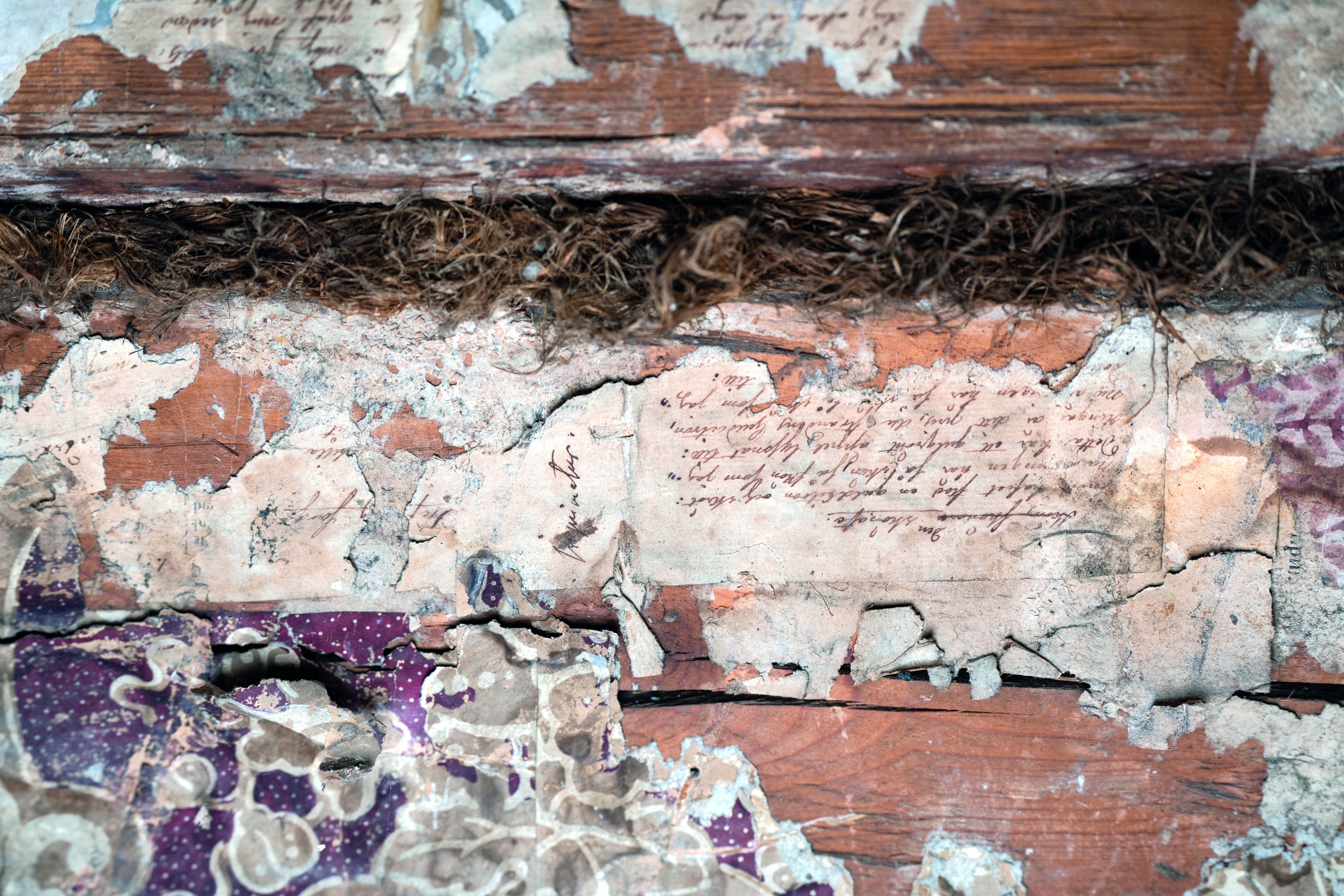 Färgfotografi av det slitna manuskriptet tapetserat på väggen. Väggstockar och mossa som använts som tätning syns där manuskriptet inte täcker.